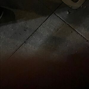 Gwen Stefani Y2K Brand L.A.M.B Zip Small Pouch